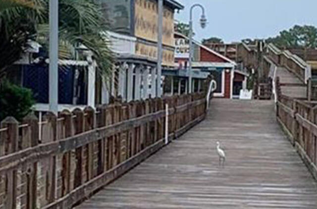 Uraganas Dorianas klaipėdietės vertinimu