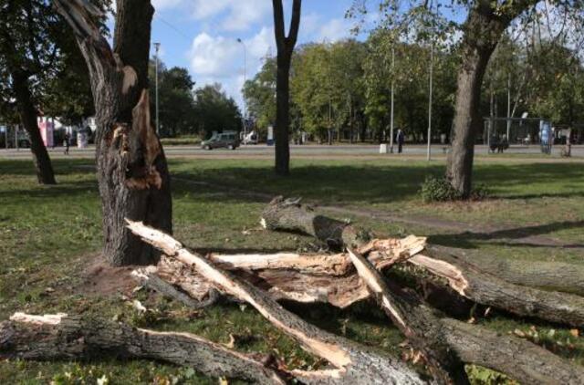 Vėjas laužė medžius, apribota laivyba