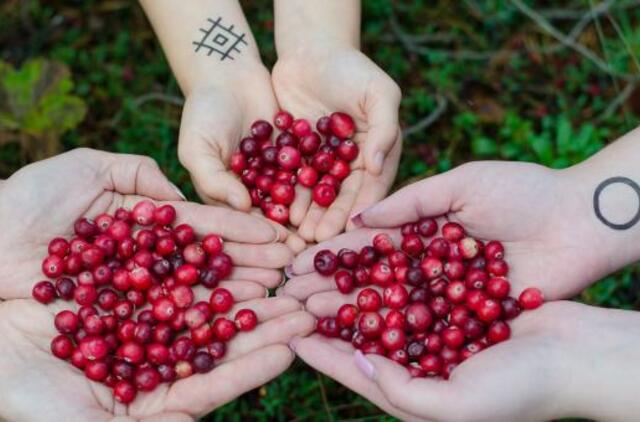 7 produktai, kurie valo organizmą geriau už bet kokius vaistus