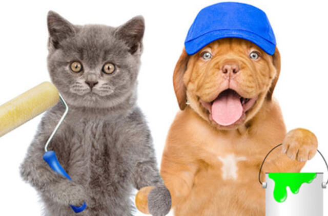 Ieškote darbo? Laisvos vietos Klaipėdos regione