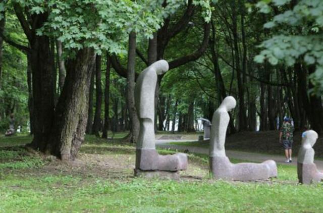 Kertant medžius Skulptūrų parke kasinės ir kapus