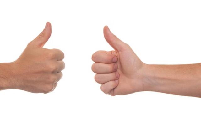 Organizacijas kviečia auginti „Lygių galimybių sparnus“