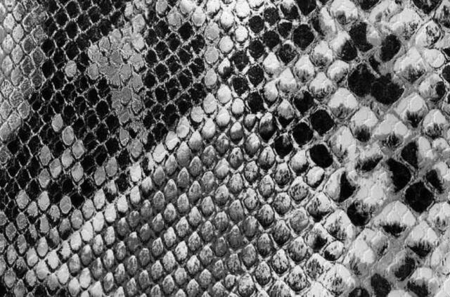 Rudens aksesuarų TOP 9: nuo perlų iki gyvatės odos rankinių