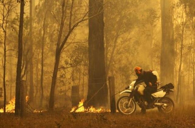 Australijos valstijoje dėl krūmynų gaisrų paskelbta ypatingoji padėtis
