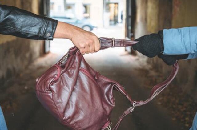 Dar dvi moterys neteko rankinių