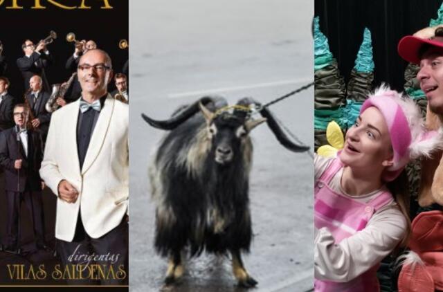 Ką sekmadienį veikti Klaipėdoje ir aplink?