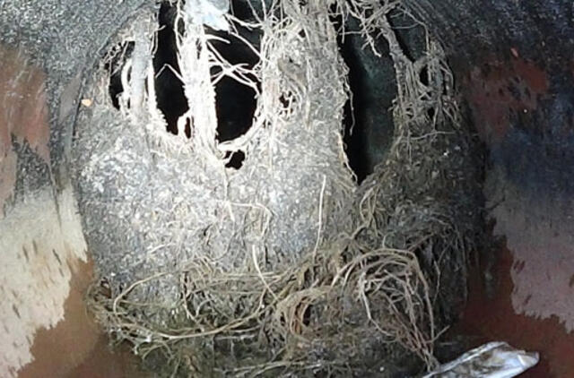 Ko reikia, kad lietus neskandintų Klaipėdos miesto?