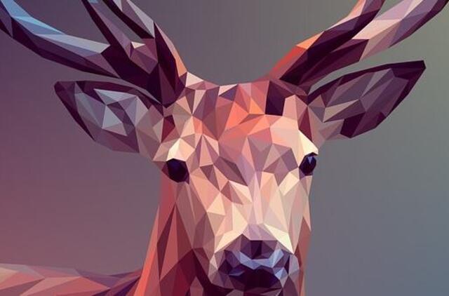 Skaitmeninių talentų ieškoma visose Lietuvos mokyklose