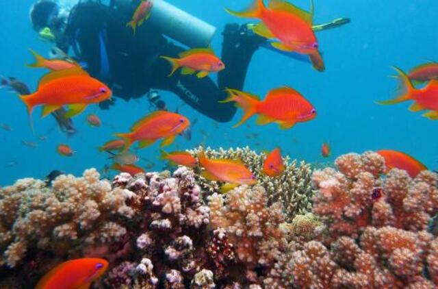 Trumpėjant dienoms, lietuviai skuba lepintis saule į Egiptą