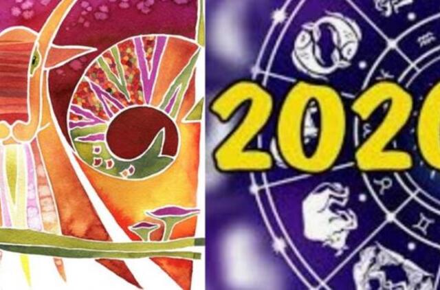 2020 metų horoskopas Ožiaragiui