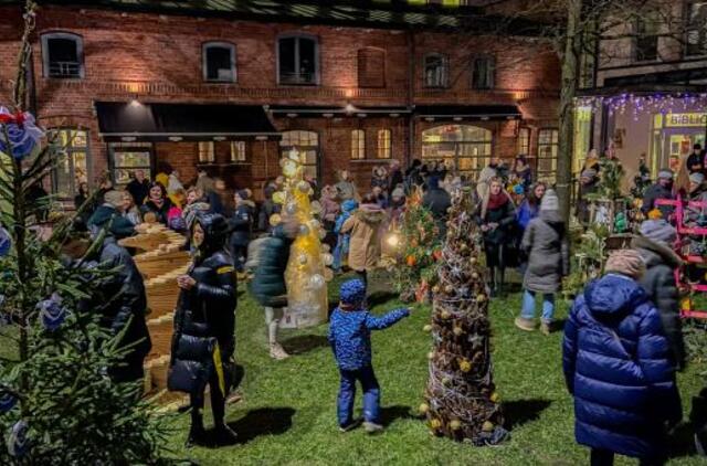 Bibliotekos kieme sužibo net 45 eglutės