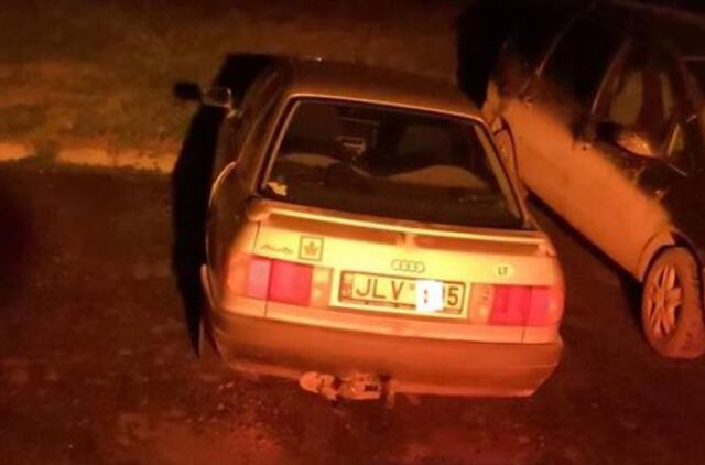 Girto "klevuko" kelionė baigėsi kanale