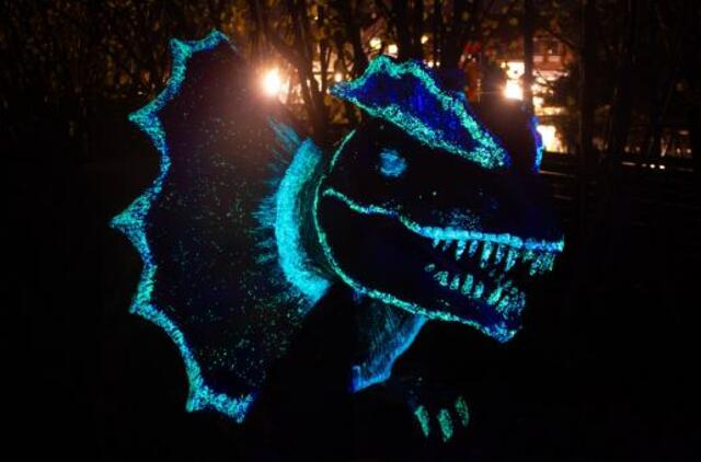 Švytinčių dinozaurų festivalis arba kur sutemus prasideda stebuklai