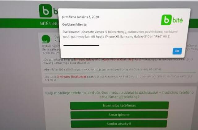 „Bitės“ kibernetinio saugumo vadovas: mūsų vardu naudojamasi neteisėtai, štai kaip apsisaugoti