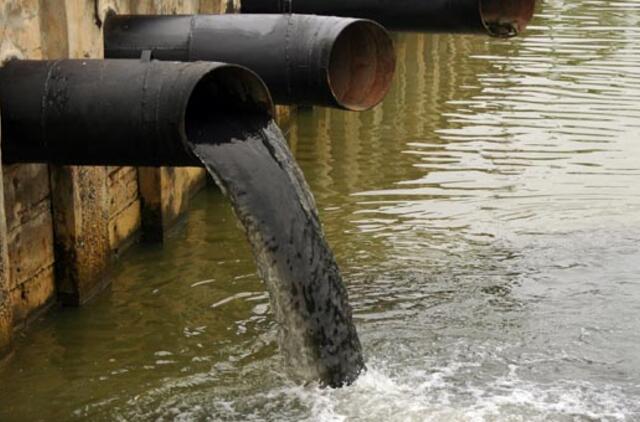 „Grigeo“ leistos medžiagos – vienos labiausiai dvokiančių pasaulyje