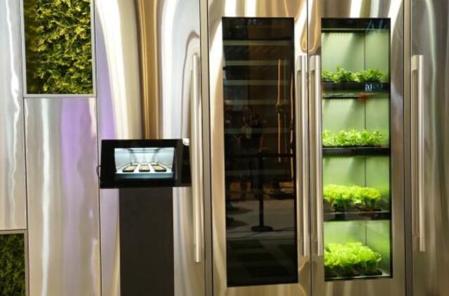 LG sukūrė pirmąjį prietaisą, skirtą daržovėms auginti namuose