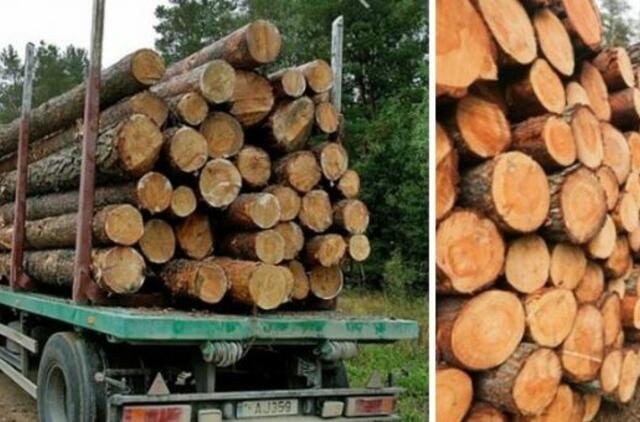 Vyriausybė palaimino prieštaringai vertinamą naują medienos pardavimo tvarką