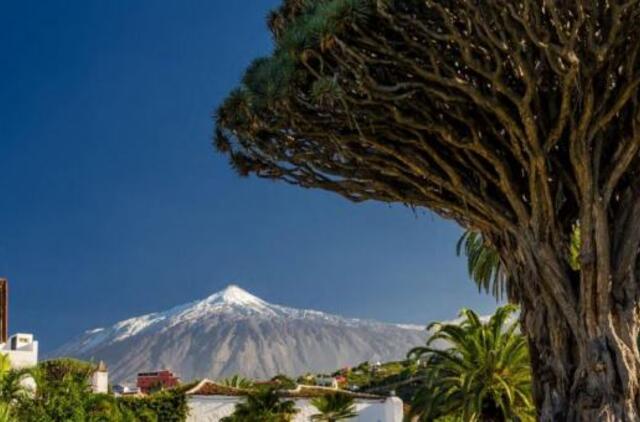 Dėl koronaviruso prašoma susilaikyti nuo kelionių į Tenerifę