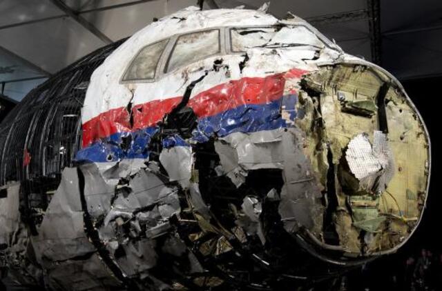 Tyrėjai rado liudininką, savo akimis mačiusį MH17 lėktuvo numušimą virš Rytų Ukrainos