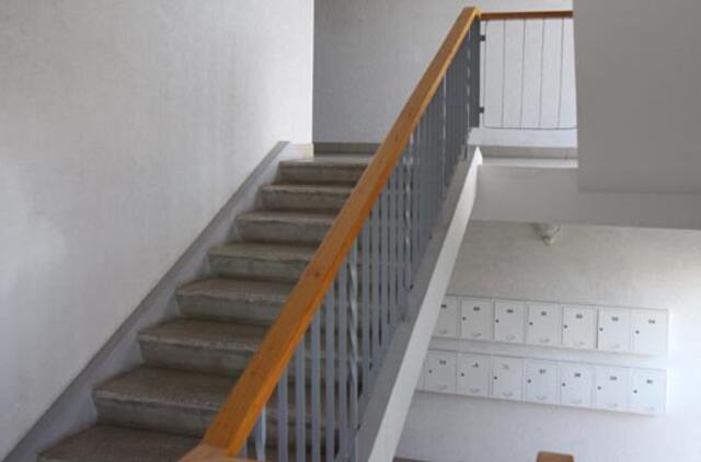 Nevalomose laiptinėse - kirmelės ir ligų židiniai