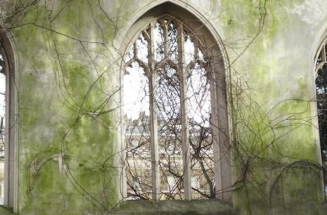 Pakitusios realybės kontūrai