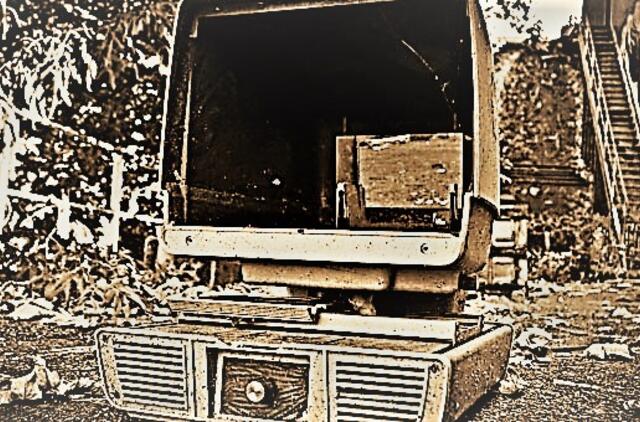 Gyvenimas pro langą: himnas vienatvei