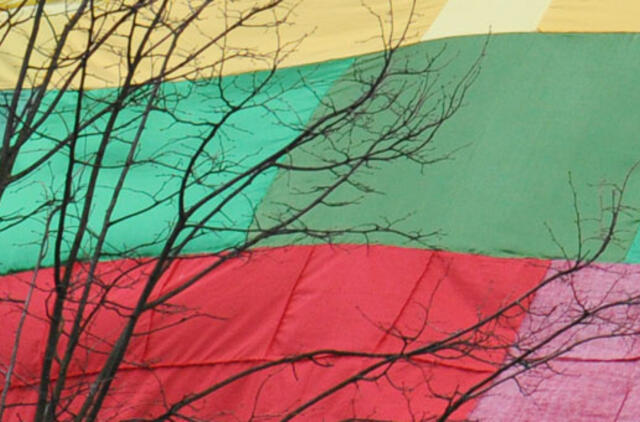 Gyvenimas pro langą: trispalvės plazdėjimas