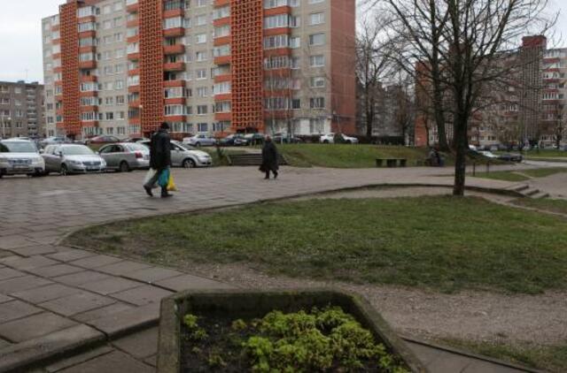 Į Klaipėdą grįžus smarvei, specialistus užplūdo skambučių lavina