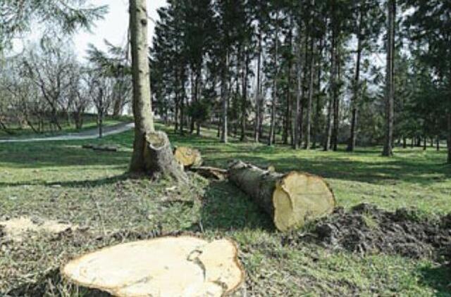 Išgyvena dėl plinkančio Pastauninko parko