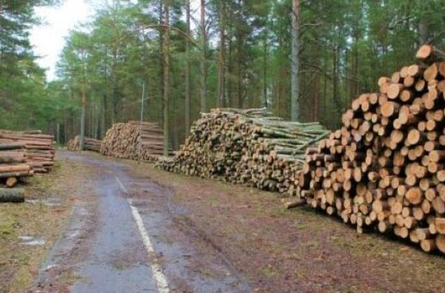 Siūloma ilginti atsiskaitymus už įsigytą medieną
