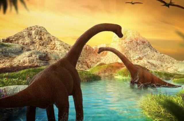 Dinozaurus nušlavęs asteroidas į Žemę rėžėsi „pražūtingiausiu įmanomu“ kampu