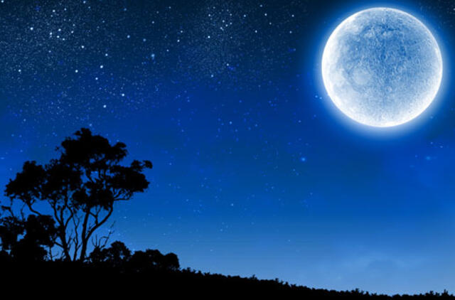 Gyvenimas pro langą: kuo nustebintų kelionė palei Vilhelmo kanalą?