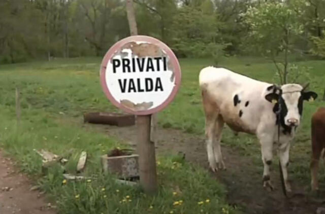 Kapinės atsidūrė privačioje žemėje