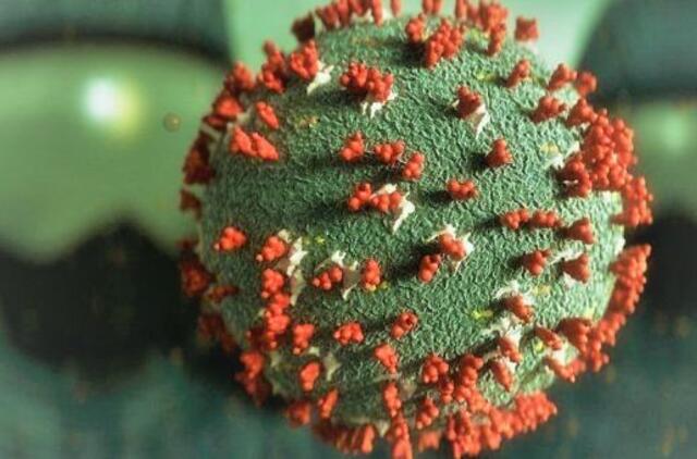 Katare pradeda galioti griežčiausia pasaulyje galima bausmė už kaukės nedėvėjimą viešumoje