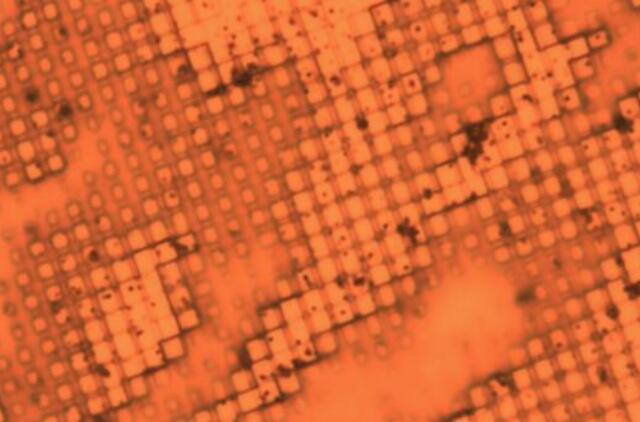 KKKC Parodų rūmuose – Arvydo Palevičiaus „Tarp fizikos ir metafizikos“