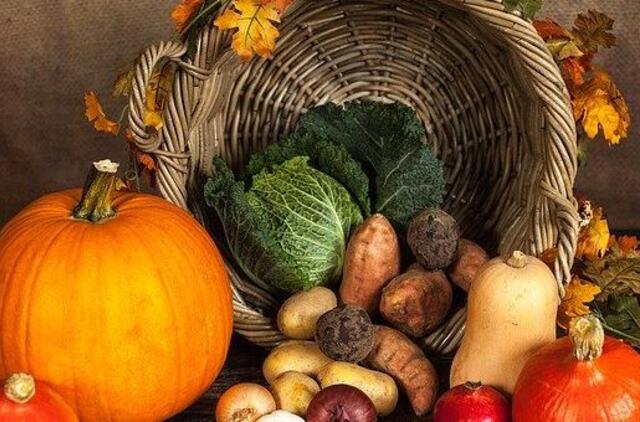 Klaipėdos rajonas nori savo darželinukus maitinti ekologiškai