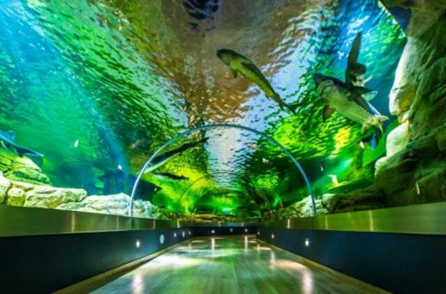 Lietuvos jūrų muziejus