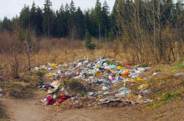 Seime - siūlymas už gamtos teršimą konfiskuoti automobilį