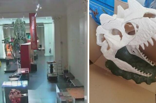 Uždarytame Australijos muziejuje įsibrovėlis pasidarė asmenukių su dinozauro kaukole