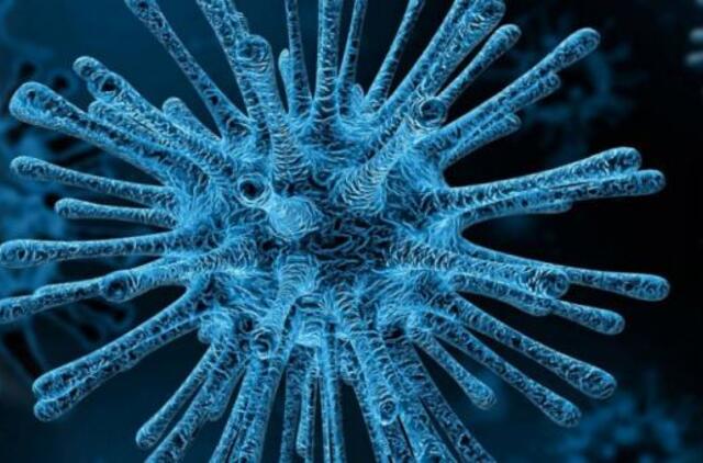 ŽIV tiriantis mokslininkas: artimiausiu metu nereikėtų tikėtis koronaviruso vakcinos