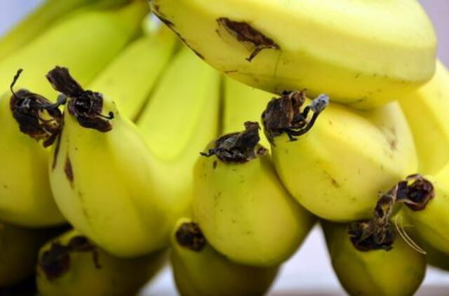 10 įdomių faktų apie bananus