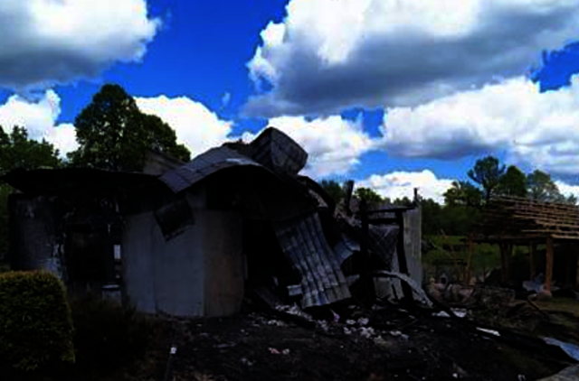 Močiutės sumanymas persodinti kaktusus baigėsi daugiavaikės šeimos nelaime