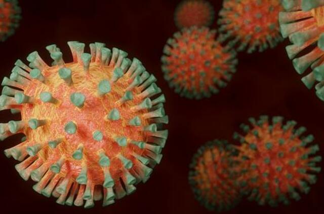 Patvirtintas vos vienas koronaviruso infekcijos atvejis