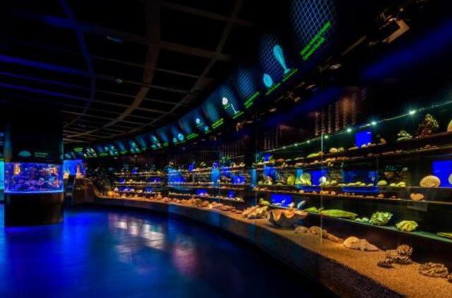 Pristatoma knyga, atverianti kriauklių pasaulį