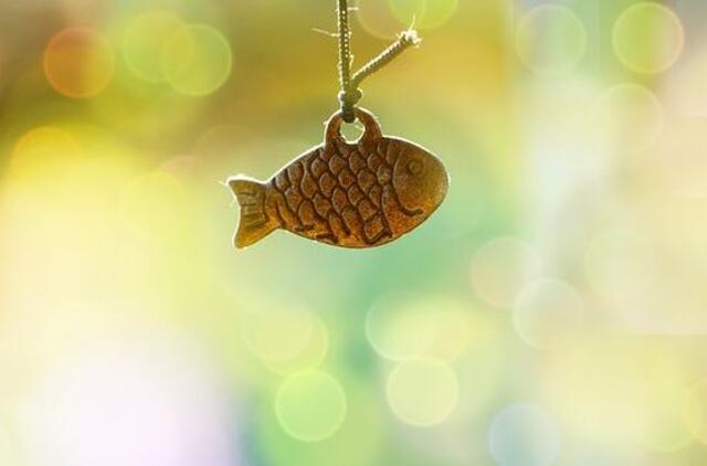 Sekmadienio horoskopas 12 zodiako ženklų