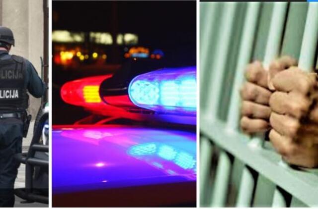 Suvestinė: vagystės, plėšimai, 486 šoviniai