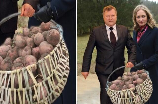 Konservatoriai suvokė: bus bulbų - bus rinkėjų