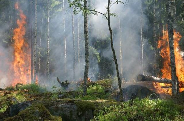 Netoli Graikijos miesto Korinto įsiplieskė miško gaisras