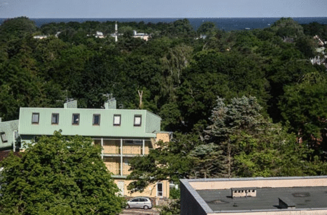 Palanga taupiems: 12 pramogų, kurioms neišleisite nė cento