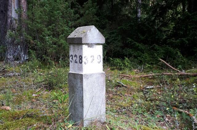 Bijote pasiklysti miške? Miškininkai pataria, kaip orientuotis neturint išmaniojo įrenginio